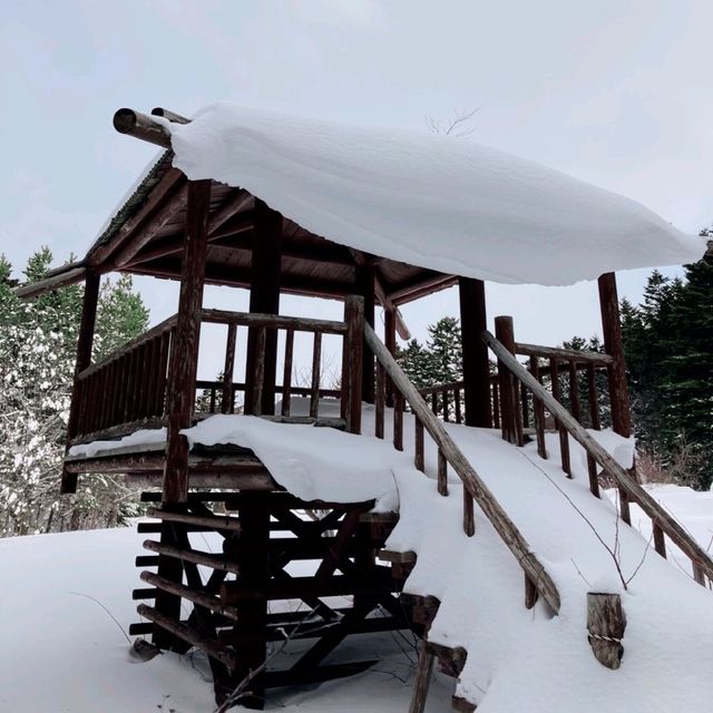 利尻島　森林公園の看板