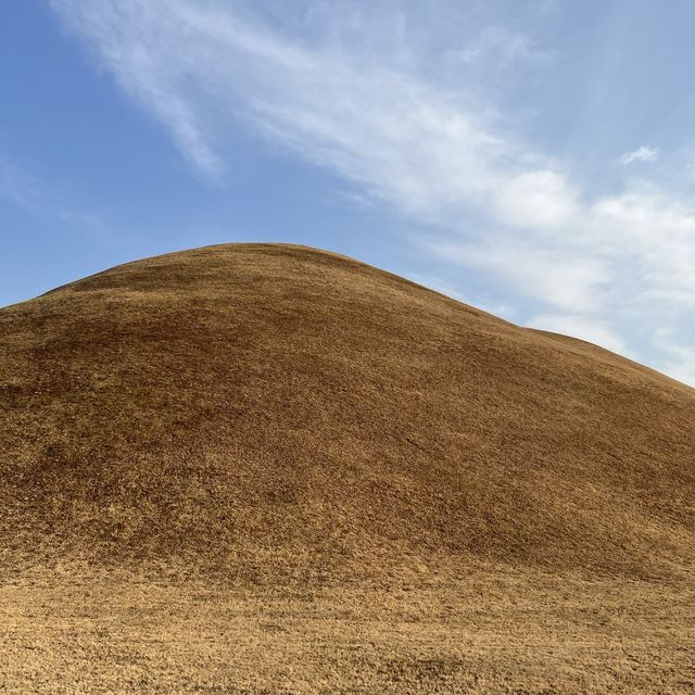 경주 포토존 여행코스 , 대릉원 