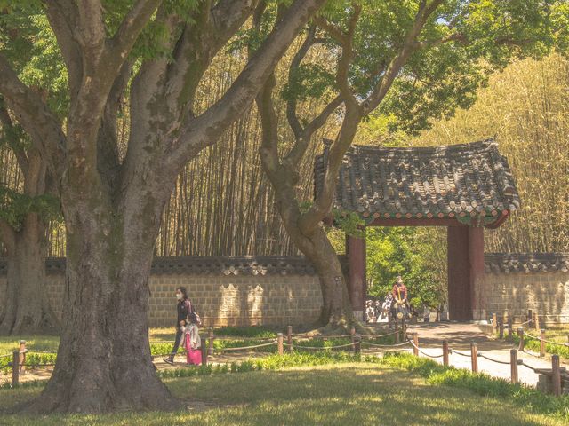 전주 여행코스 추천 :: 경기전