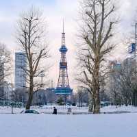 冬の札幌大通り公園の景色