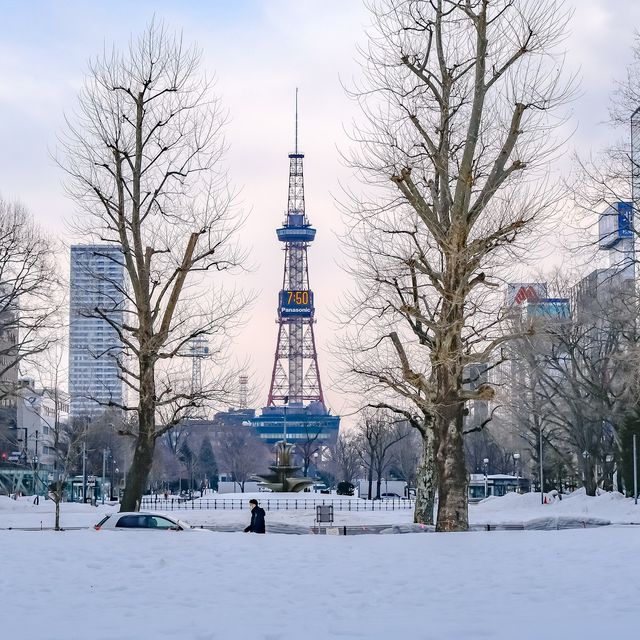 冬の札幌大通り公園の景色