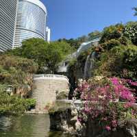 親子好去處｜香港動植物公園賞花攝影遊🌺