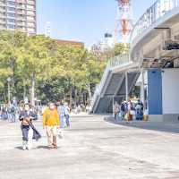 春の横浜公園の散策