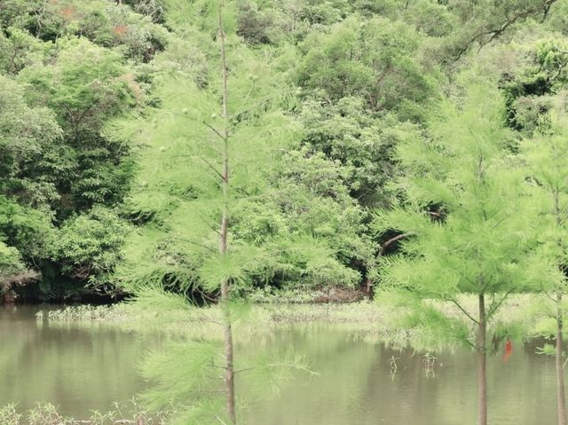流水響郊遊徑