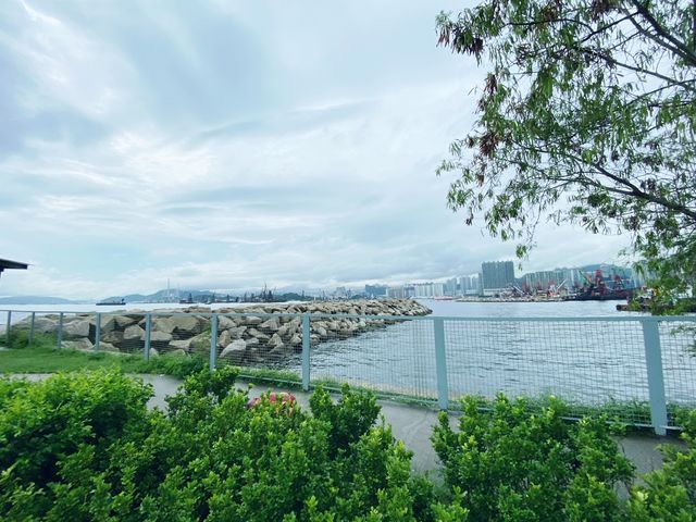 苗圃公園無敵海景
