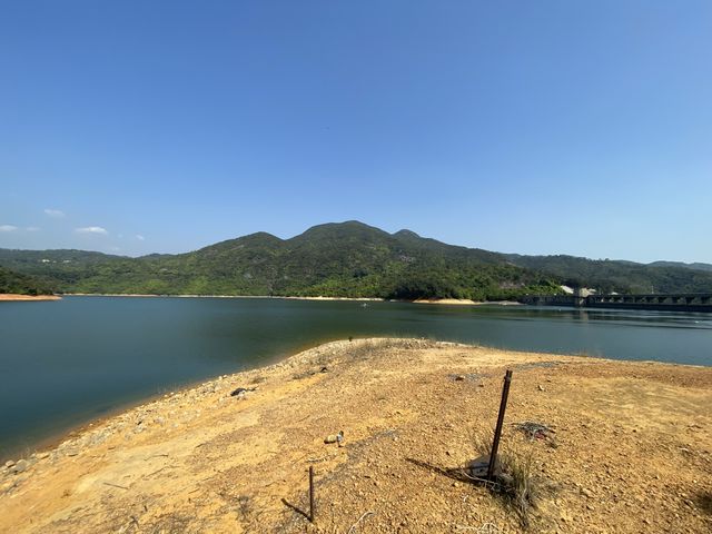 帶你近距離欣賞大欖水塘