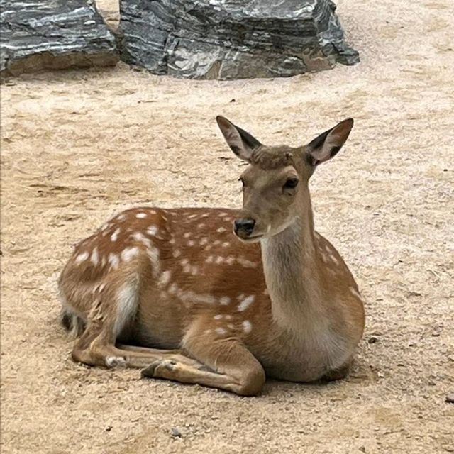 親子活動