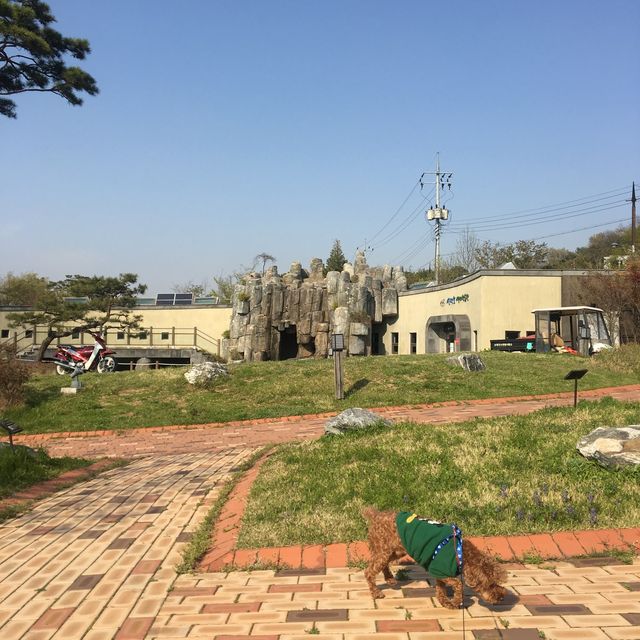 반려견과 함께 신정호 산책, 그리고 커피 한 잔 