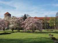 Wawel Castle 