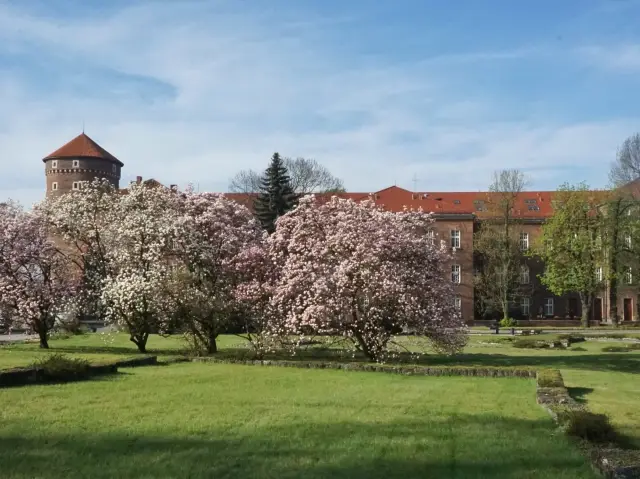 Wawel Castle 