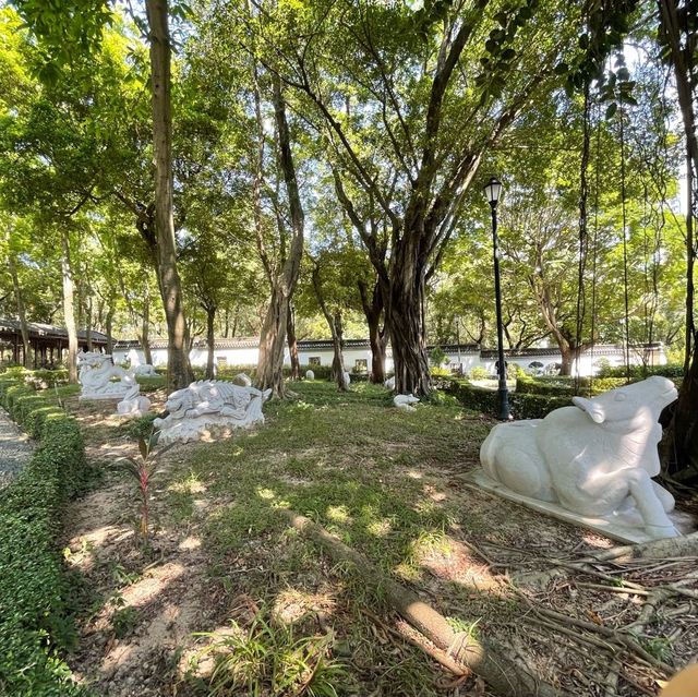 九龍市區玩足一日,有遊樂場/園林公園/歷史遺跡/特色cafe，仲可以有單車俓踏單車😍 