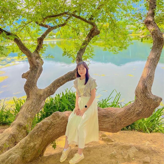 부산근교 산책하기 좋은 여행지, 밀양 🌱