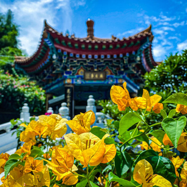 香港的小故宮