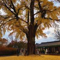 Jeonju Hyanggyo, Confucian school