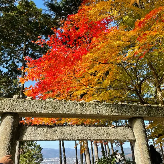 京都楓葉季