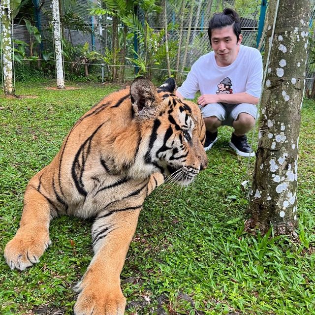 布吉島🐯樂園