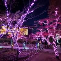愛知県清須市　清洲公園のイルミネーション