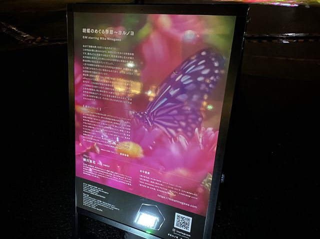 神奈川・横浜。光とアートのプログラム『ヨルノヨ体験』 