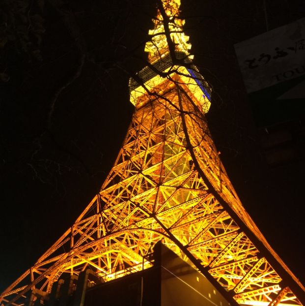 The view of Tokyo tower