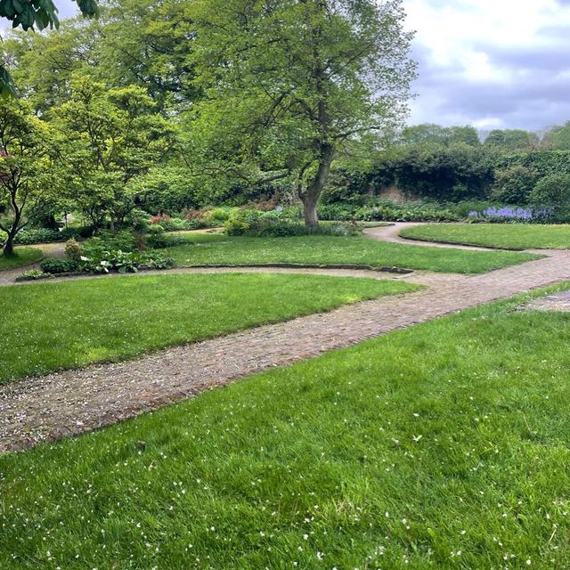 英國曼徹斯特 超大綠化公園 欣賞不同種類嘅植物