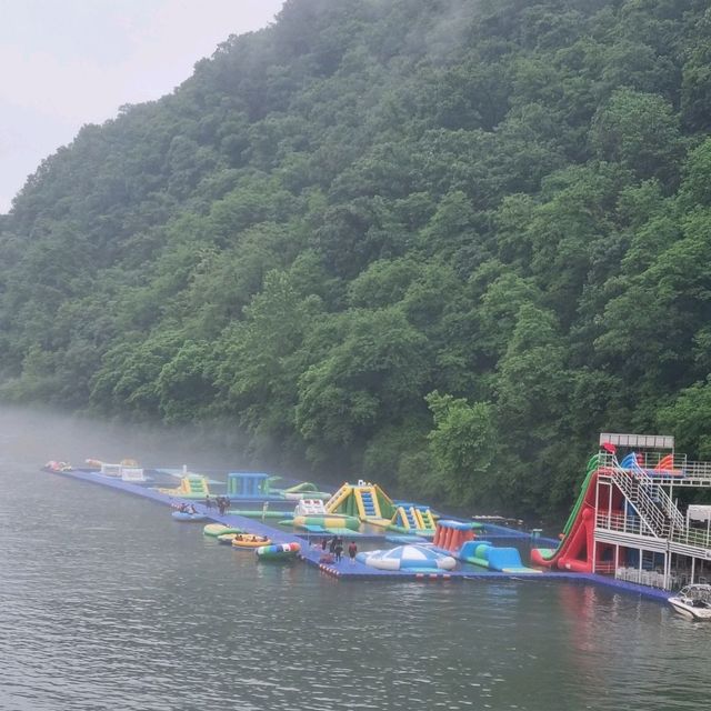 Experience the Rail Bike in Gapyeong ✨️ Experience the Rail Bike in Gapyeong ✨️