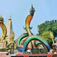 วัดพระธาตุหนองบัว