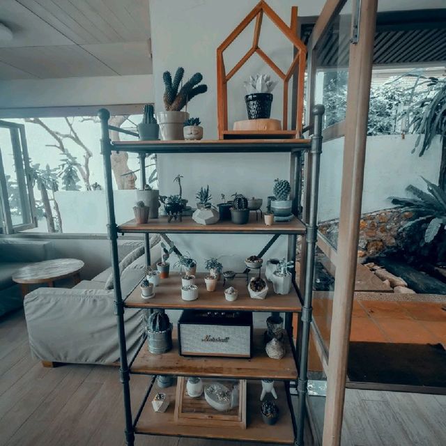 Drip RimLay Hua Hin ☕🏖️☕