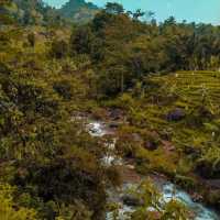 CURUG LEUWI HEJO, WEST JAVA