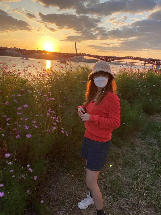 <서울> 피크닉하기 좋은 일몰 맛집 망원한강공원