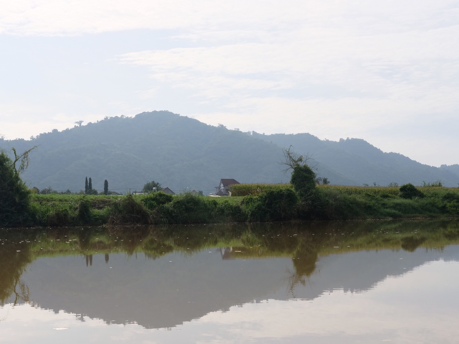 Cat Tien National Park is one of the largest reserve in Vietnam and located in the south of Vietnam. 
The park is about 150km from Ho Chi Minh City. You can go by motobike, car or bus, they have parking lot at the park entrance. 
If you love nature and the quiet place, Cat Tien National Park is the best place to come. You can see rare, strange ancient trees, wood trees, colorful plants and flowers.
There are diversity of activities that suitable for both family or young people. You can hire a jeep car to go through the forest or ride bicycle to go around or hire a boat to see the sunset.
Beside that, you also come to Crocodile Lake and the night safari trip to the wildlife for a great experience in Cat Tien National Park.
#cattiennationalpark
#cattien
#vietnam
#triplover