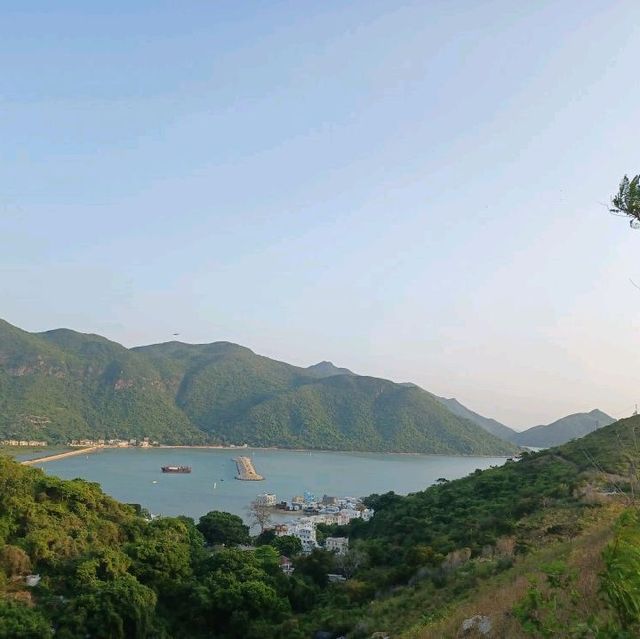 明知山有🐯偏向🐯山行