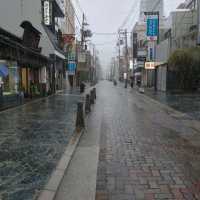 奈良町食べ歩き　大仏いちご・よもぎ餅