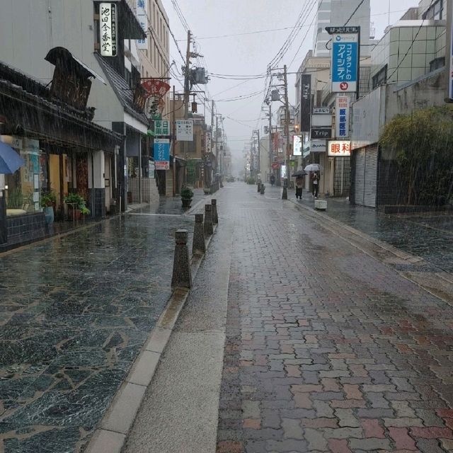 奈良町食べ歩き　大仏いちご・よもぎ餅