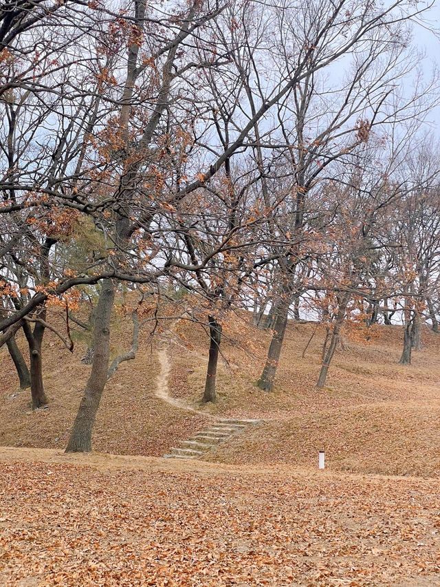 경주의 얼음창고 석빙고 🧊