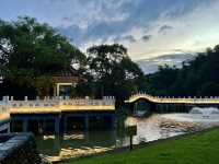 台北碧湖公園散步去｜捷運可以到～還可以順便登頂喔