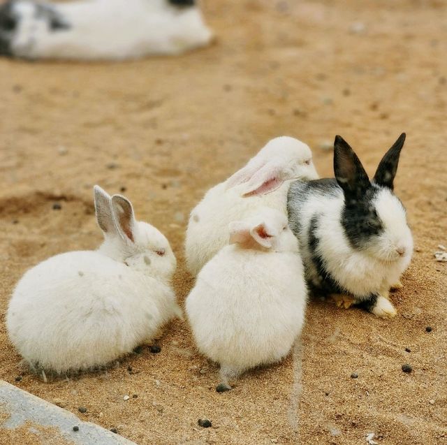 울진 왕피천공원, 아이와 함께 가볼만한 울진여행 장소