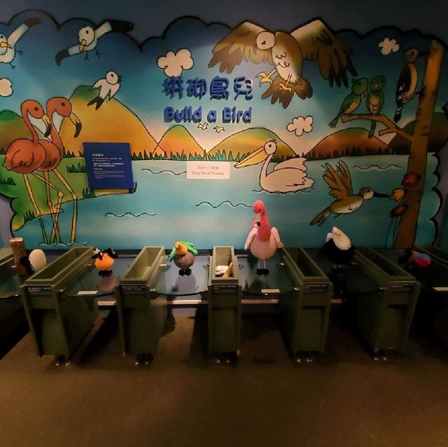 香港文化博物館