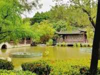 荔枝角公園 香港花卉展覽