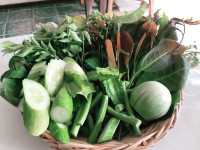 ขนมจีนประตู 3 ม.ราชภัฏนครศรีธรรมราช