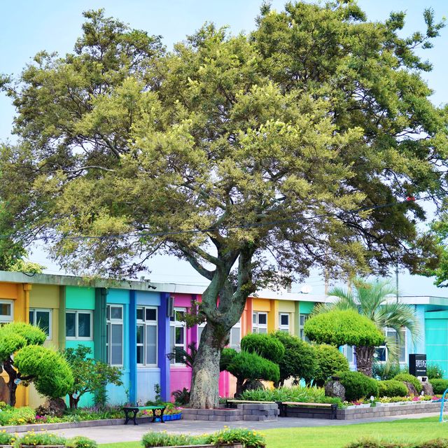 🌈 무지개빛 학교로 유명한, 더럭초등학교