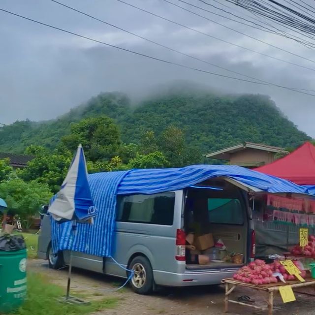 สดชื่นเขียวชอุ่มกับหน้าฝนที่เขาใหญ่