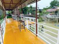 บ้านกลางนา&cafe 💗🍱🌵🥗🍲🥤🍧🍭
