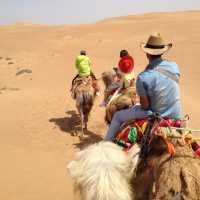 The Tengger Desert 