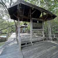 ศูนย์ศึกษาธรรมชาติป่าชายเลยอ่าวคุ้งกระเบน