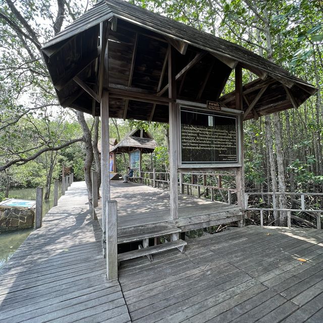 ศูนย์ศึกษาธรรมชาติป่าชายเลยอ่าวคุ้งกระเบน