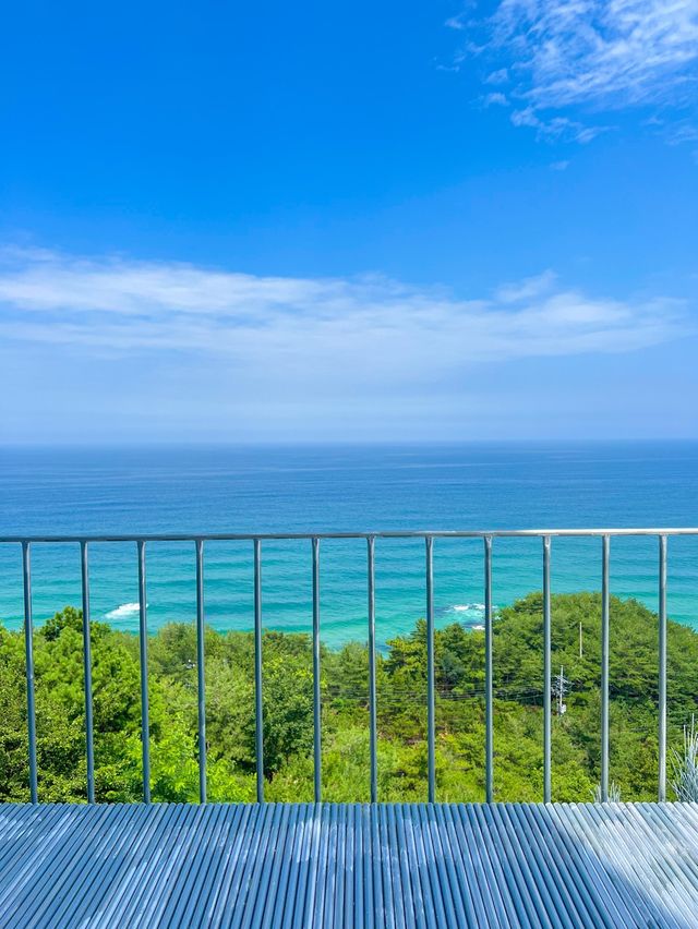 하슬라아트월드 강릉여행 필수 포토존💙🌊