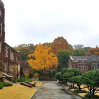 Yonsei University colours of fall