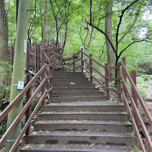 대전 여행 보문산