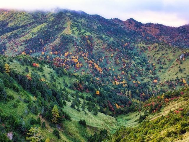 【長野】まるで海外のような絶景の紅葉！長野県志賀高原ののぞきをご紹介