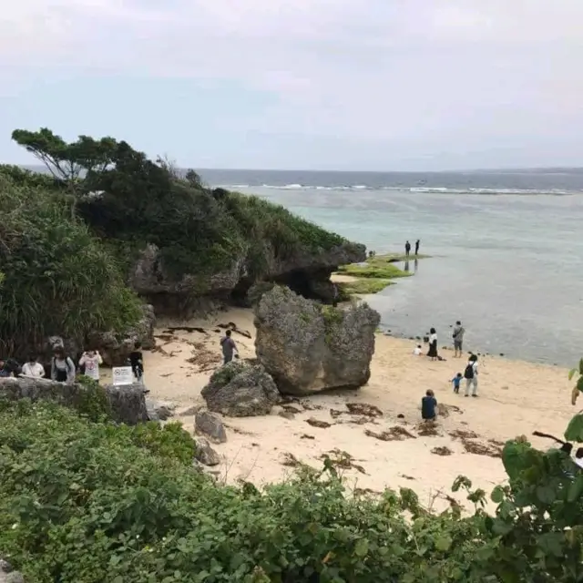 ชายหาด ติดกับ Okinawa aquarium 